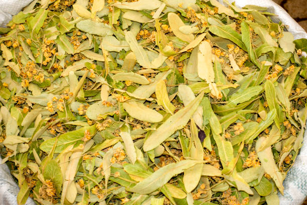 A source of healing in a large sack of linden leaves