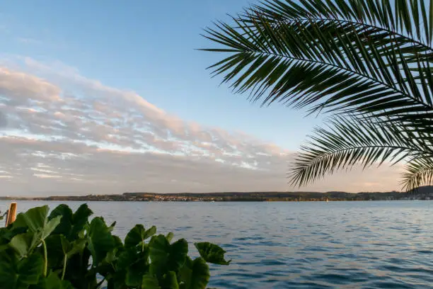 lake constance, german name: bodensee in the evening sun, shot taken in the city Uberlingen, Ueberlingen