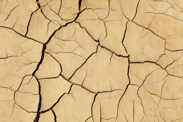 istock Textured surface of background, cracked earth, dry clay with many cracks 1416035610
