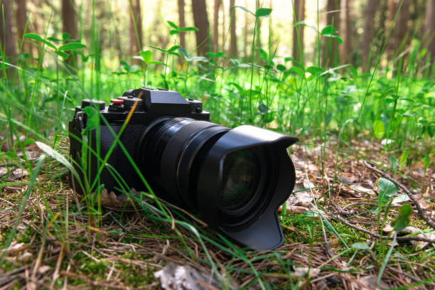 istock camera close up lies in the green grass 1416035690