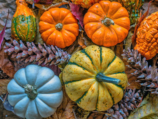 istock Autumn still life 1416035911