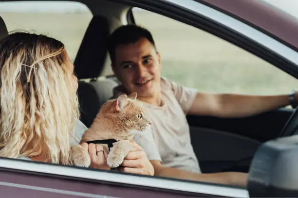 Photo of Happy Couple with Their Red Cat Enjoying Road Trip, Young Woman and Man Traveling by Car with Pet