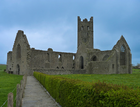 This well-preserved friary, founded in 1291, belonged to the Dominicans, a preaching order of friars.  Located in the town of Killmallock, it is known for a number of artistic architectural features, including its distinctive nave.