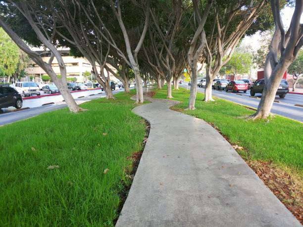 istock walking through trees in the city 1416046172