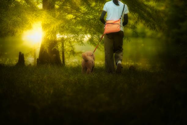 Dog-walking