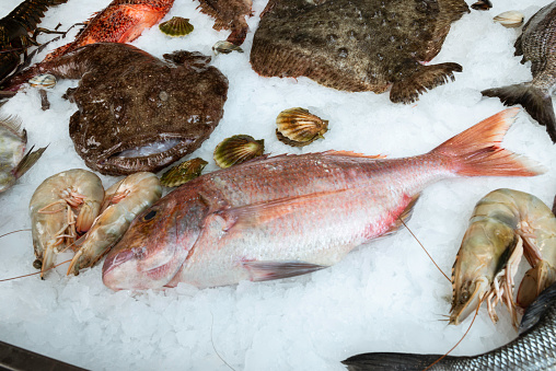 Fish arrangement on ice.