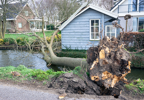 Waddinxveen, Netherlands - February 2022: On Friday 18 February 2022, synoptic scale storm \