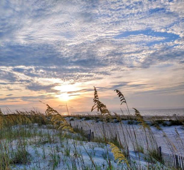istock Beach Sunrise Cloudscape Over Seagrass 1416057858