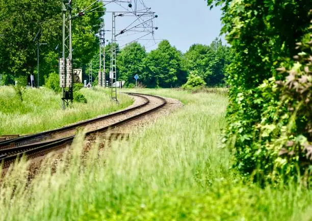 Photo of Railway tracks in summer. The turn of the railway. The railway is nearby. Grass along the railway tracks.