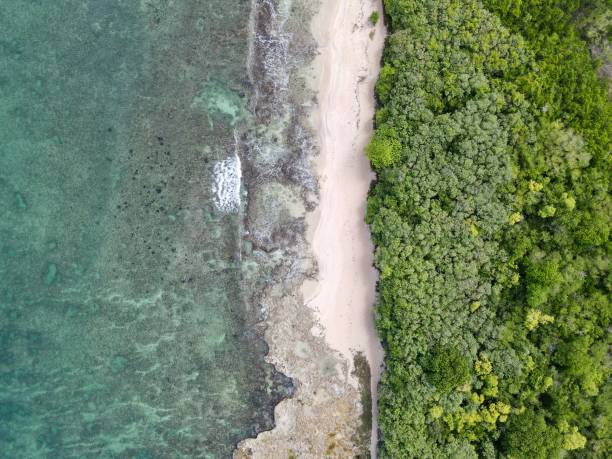 istock Aerial texture of the beach 1416061314