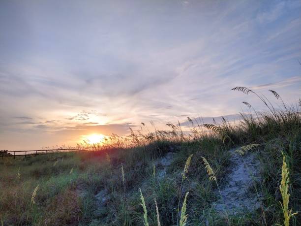 istock Sunny Morning Light Over Sea Grass 1416062529