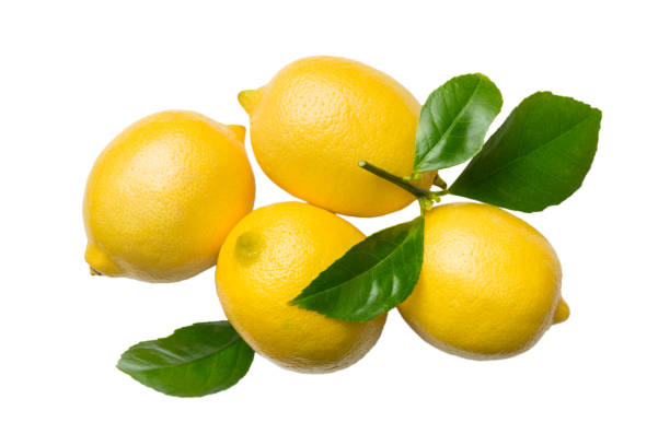 istock fresh lemon citrus fruit isolated on white background top view 1416064986