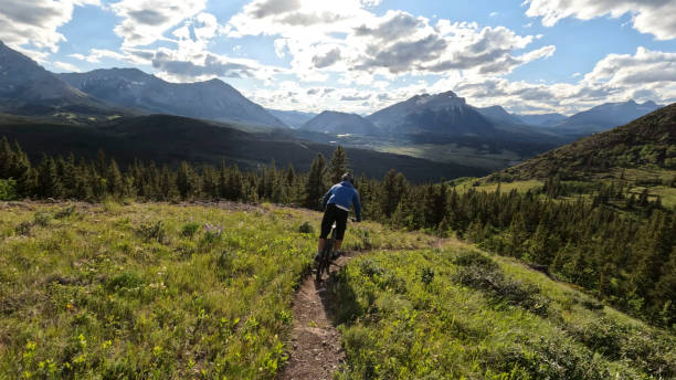 istock Young man mountain bikes on single track trail in mountains 1416066496
