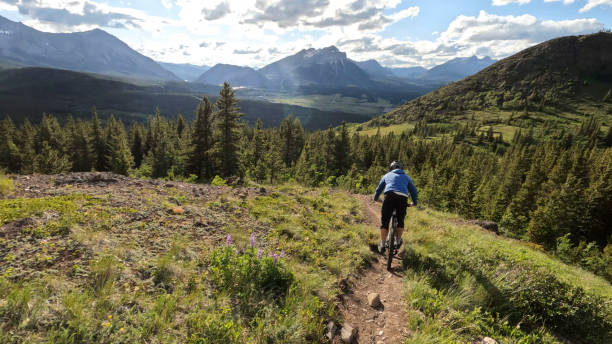 istock Young man mountain bikes on single track trail in mountains 1416066499