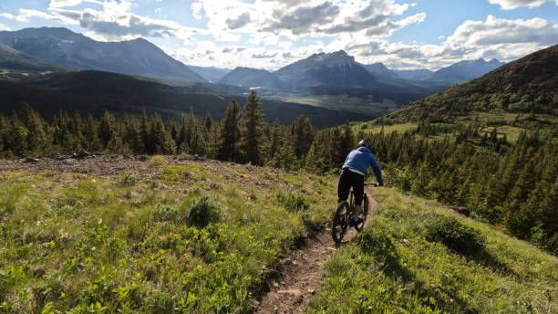 istock Young man mountain bikes on single track trail in mountains 1416066501