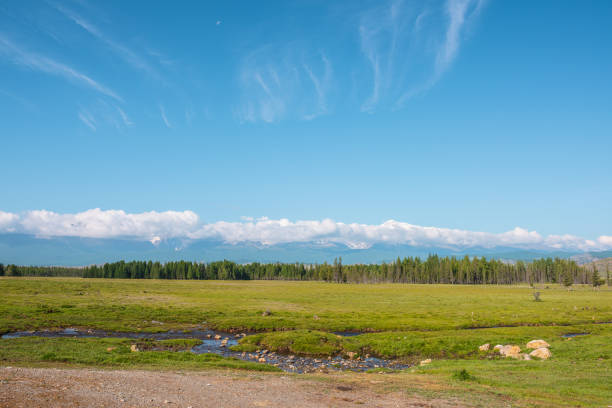 paysage pittoresque avec ruisseau contre forêt et grande chaîne de montagnes enneigées dans des nuages bas en plein soleil sous un ciel bleu. paysage vert coloré avec de hautes montagnes blanches comme neige dans des nuages bas par temps ensoleillé. - grass area hill sky mountain range photos et images de collection