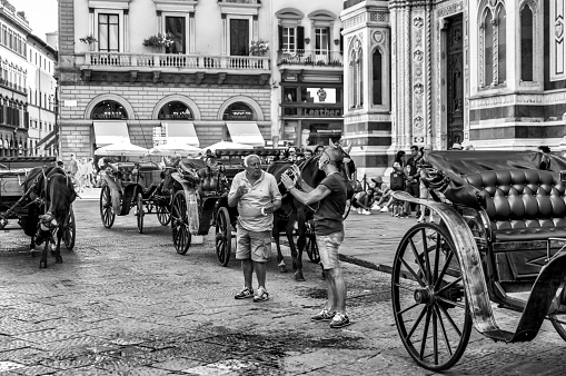 Florence, Italy - July 13, 2012: A horse drawn carriage owners talking on the streets of Florence, Italy