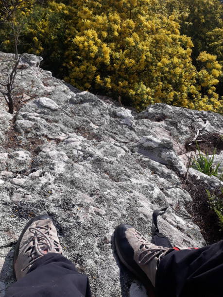 istock colors in the mountains 1416090104
