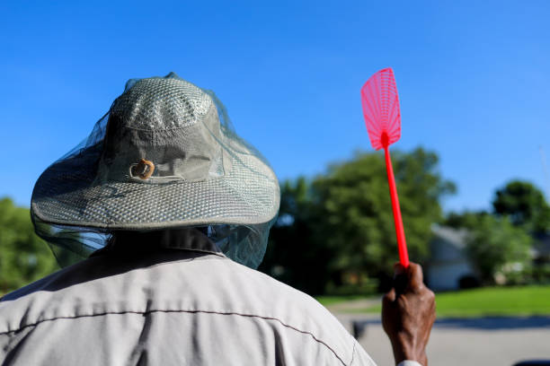 A black African-American holding a fly swatter in his hand