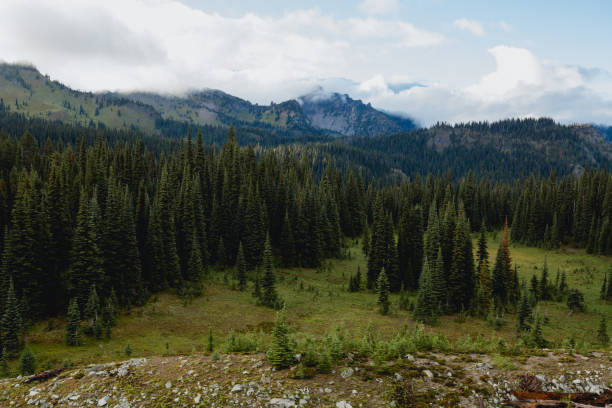 Landscape images of trees, lakes and mountains in Mount Rainier National Park, Washington State, Pacific Northwest. Photographed in early September before winter snowfall has accumulated.