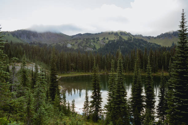 istock Mount Rainier National Park Washington State 1416099452
