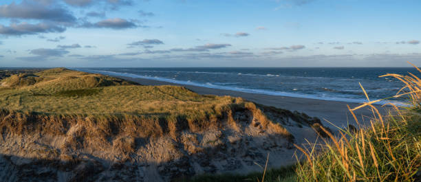 istock Dune landscape at North Sea in Denmark as panorama image 1416100667