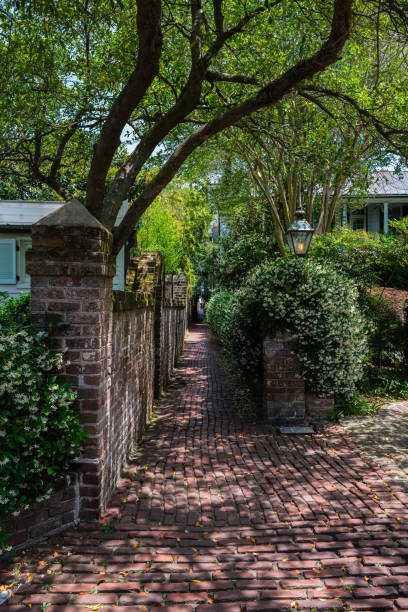 istock Charleston Cityscape 1416117865