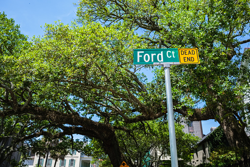 Cityscape of the historic French Quarter residential district along Ford Court with majestic oak trees in Charleston, South Carolina