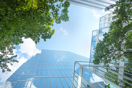 Modern Green City - reflections of clouds in modern office towers, tree lined public park at ground level.