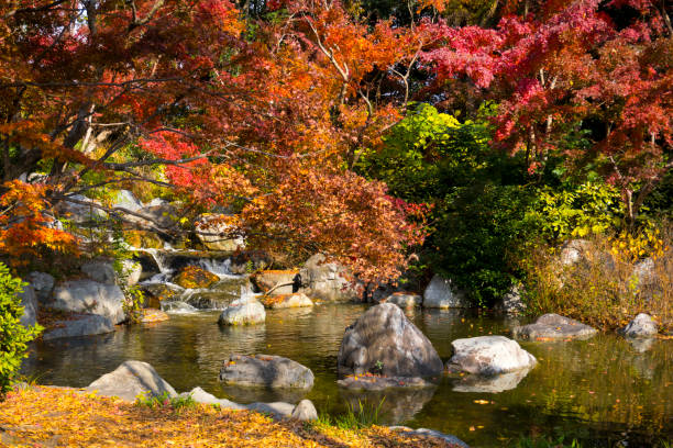 istock Streaming River, Colorful Autumn foliage 1416138999