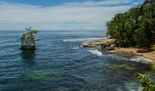 Landscape Caribbean Coast, Costa Rica: sea, palms trees sand and sun.