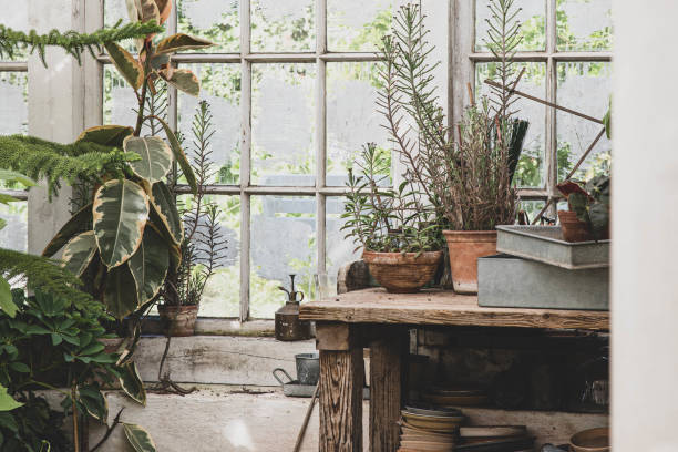 istock The beautiful old Danish greenhouse 1416148029