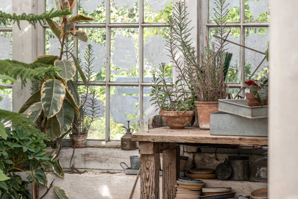 istock The beautiful old Danish greenhouse 1416148035