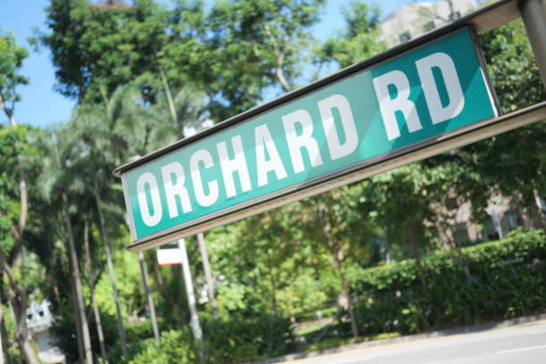 istock Orchad road sign in singaproe 1416154601