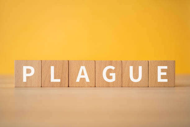 istock Wooden blocks with 