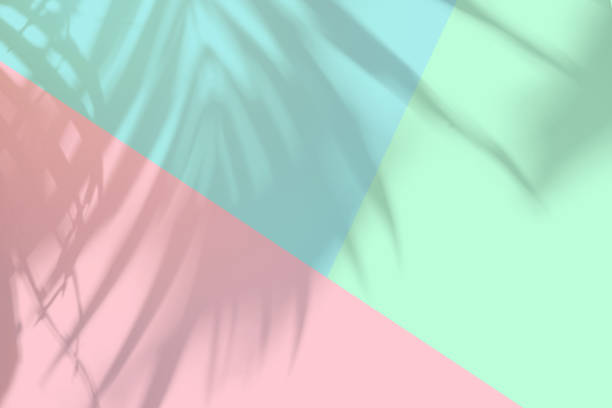istock Tropical palm leaves shadow on pastel color background with copy space 1416166329