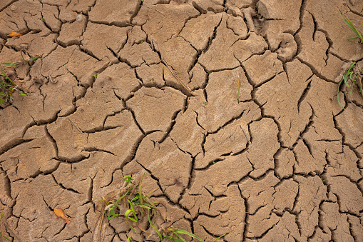 View of a sandy soil with cracks from drought and lack of water during the day. Effects of climate change on arable farming and agriculture.