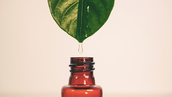 Gota de agua de cerca que cae de la hoja verde fresca a la botella, extracción biológica orgánica para cosméticos, aromaterapia y un concepto de aceite esencial, tono de color vintage retro photo