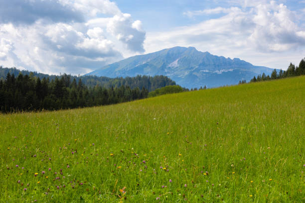 Alpine landscape with Oetscher in Lower Austria stock photo