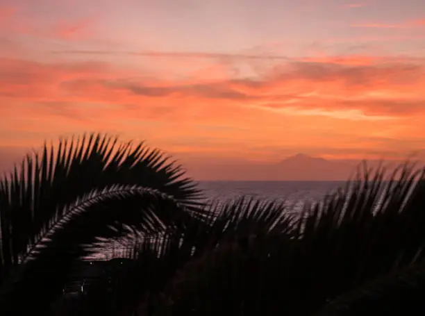 Beautiful orange red sunrise over calm ocean with silhouette of palm tree leaves and Pico del Teide volcano. Soft focus on horizon. La Palma, Canary Island