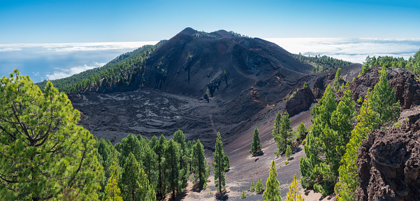 Panoramic landscape with lush green pine trees, colorful volcanoes and lava crater Deseada along path Ruta de los Volcanes, hiking trail at La Palma island, Canary Islands, Spain, Blue sky background.
