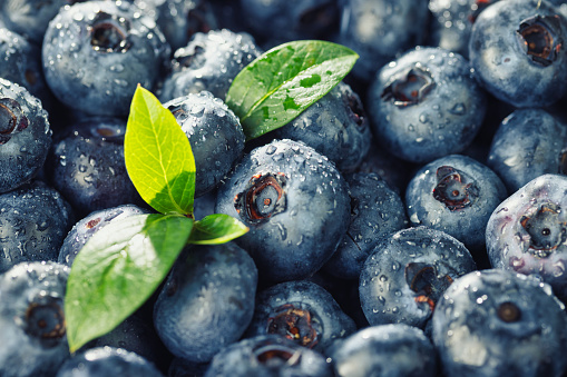 Moist blueberries background with green leaves