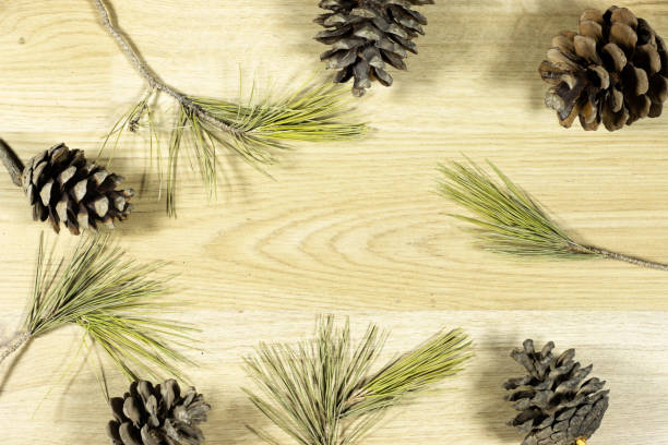 pine cones and leaves with copy space for your text on wood table
