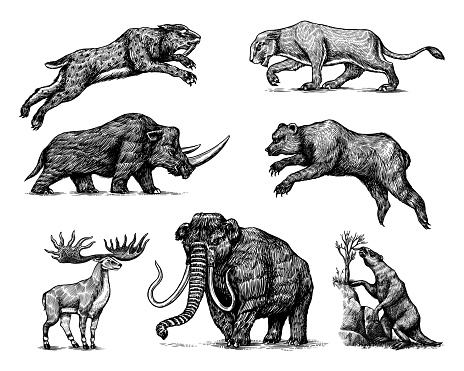 Mammoth or extinct elephant, Woolly rhinoceros Cave bear lion. Panthera Saber toothed tiger, Irish elk or deer, Ground sloth, Megatheriidae. Vintage animal. Retro Mammals. Hand drawn engraved