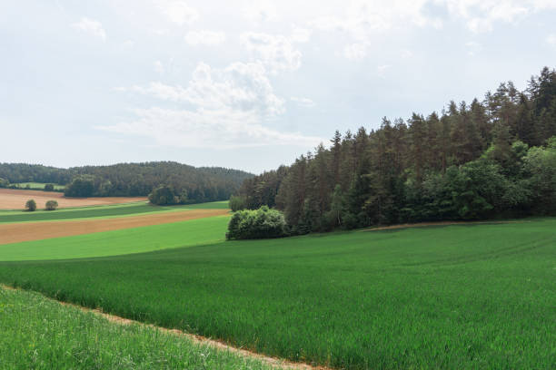 istock Idyllic and panoramic view of Bavarian nature 1416289521