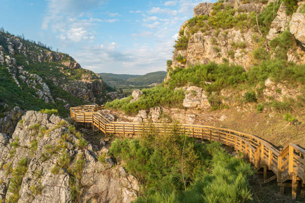 istock View from Cerro da Candosa pathways, Gois - Portugal. 1416292207