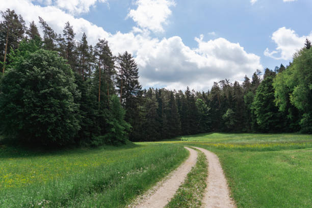 istock Idyllic and panoramic view of Bavarian nature 1416297617