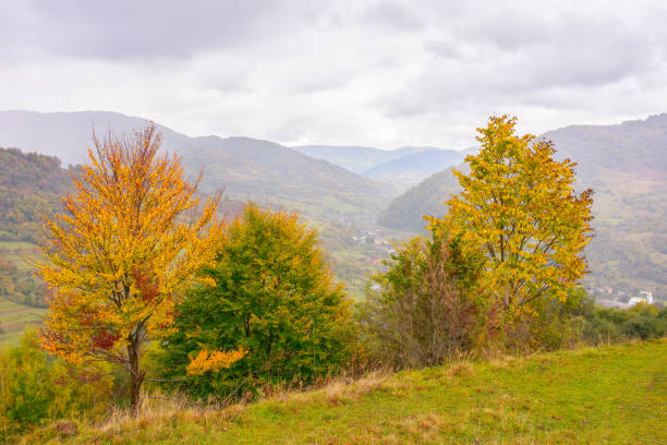 istock countryside landscape in mountains 1416317225