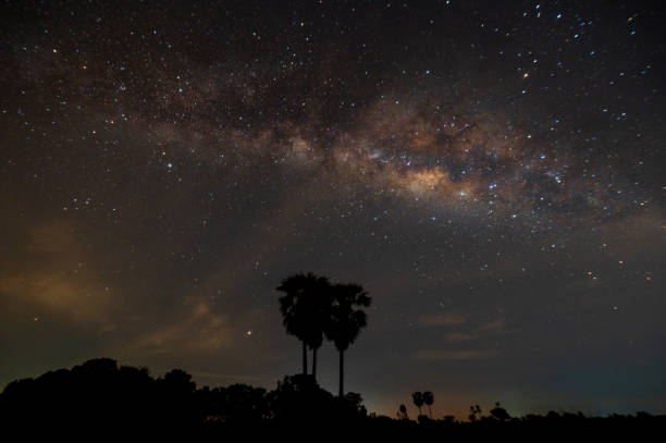 istock Blue night sky.Palm tree and complete milky way and star on dark background.with grain and select white balance. 1416339472