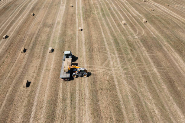 istock Loading a bale of straw onto a trailer in a field 1416356745